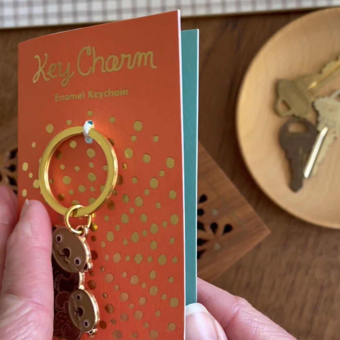 Folded orange backer card opening to show aqua inside