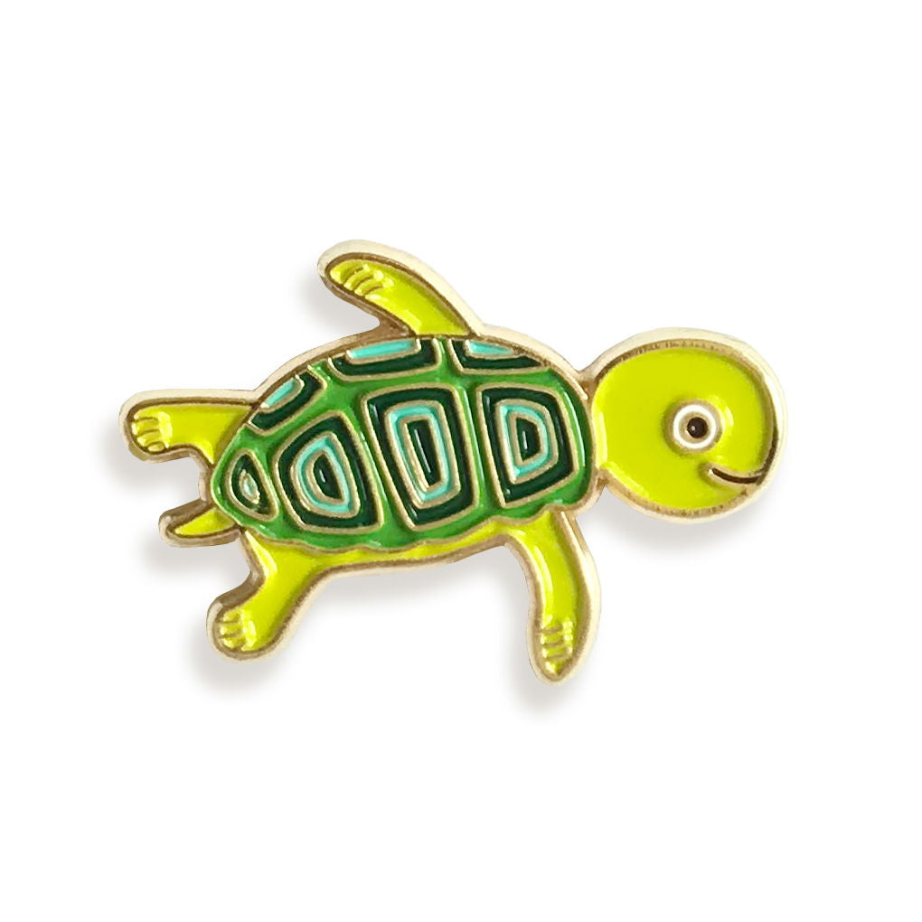 Photo of Turtle