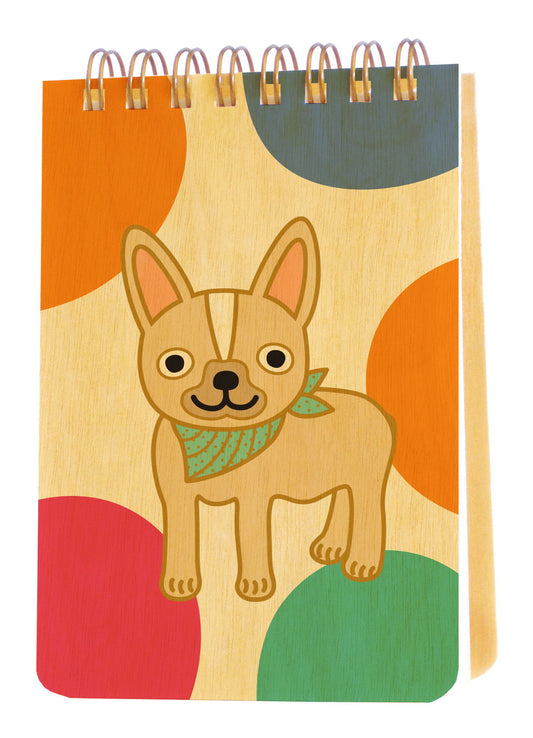Photo of Fun Frenchie