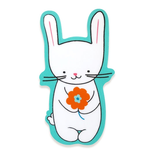 Photo of Bunny