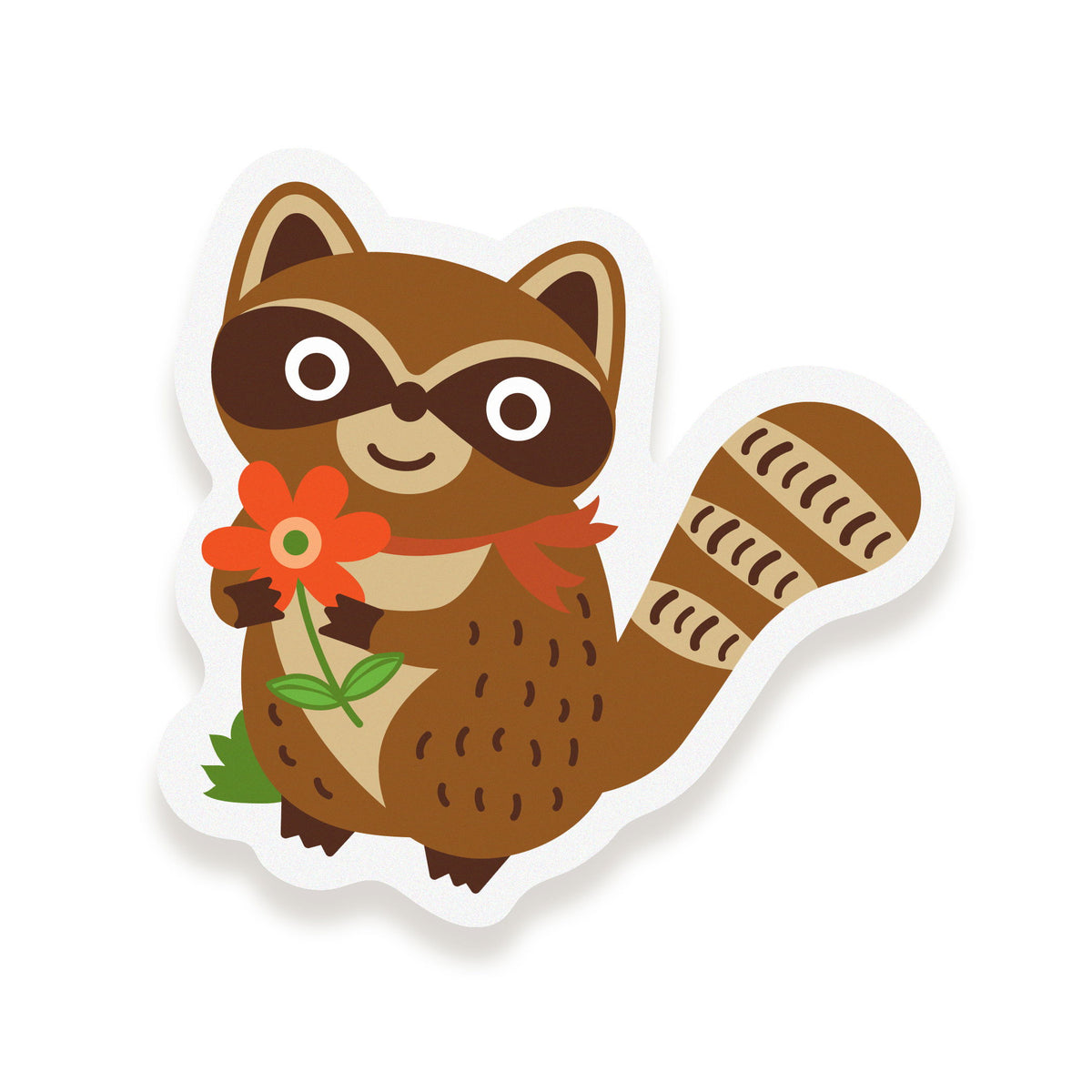 Photo of Wild Raccoon