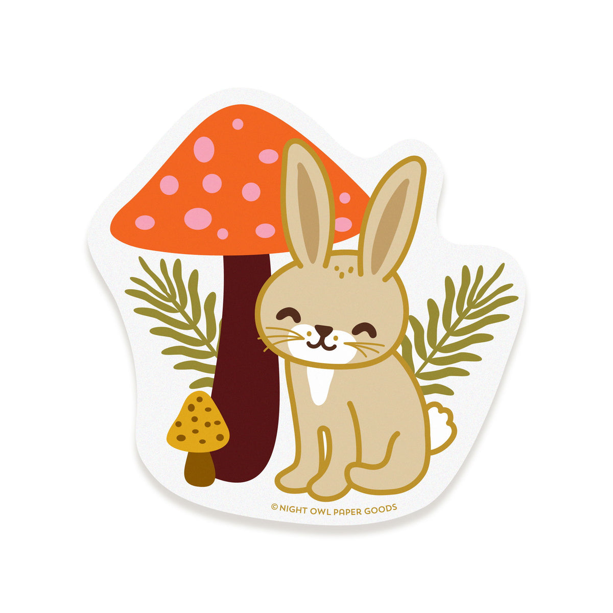 Photo of Wonderful Rabbit